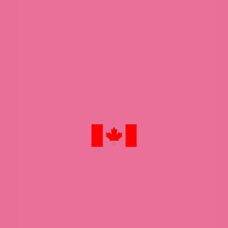 Canada Moose Canada Flag Canadian Pride Maple Leaf