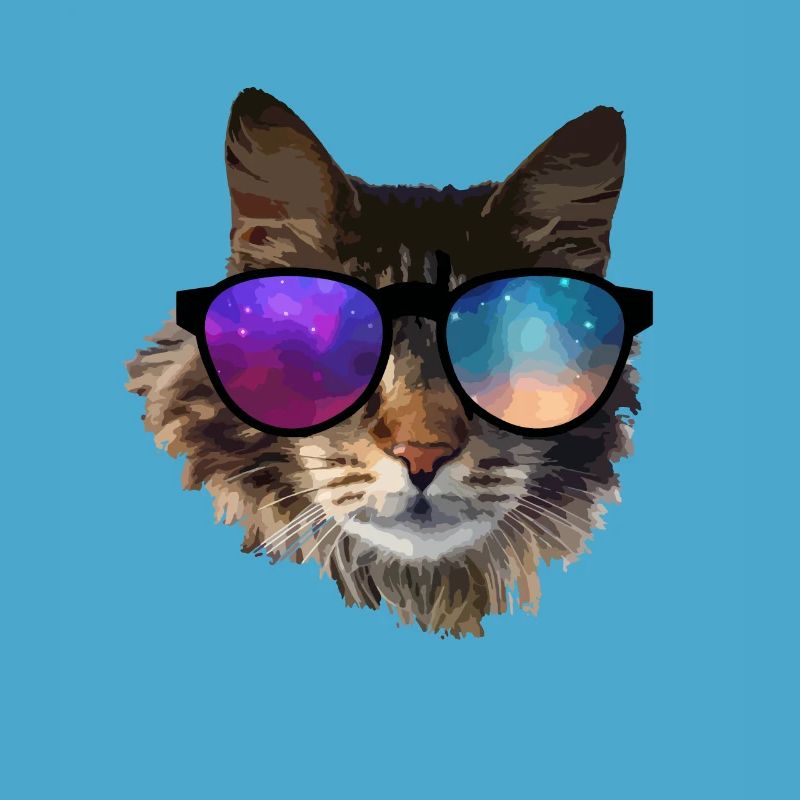 chat