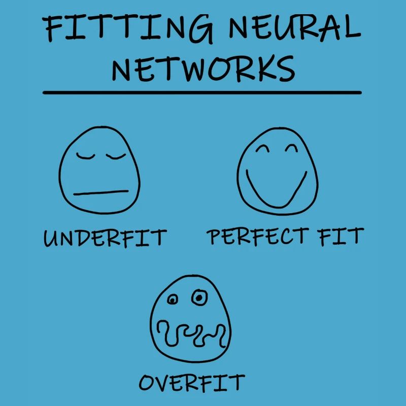 Datascience: Neural Networks Model Fitting (Black)