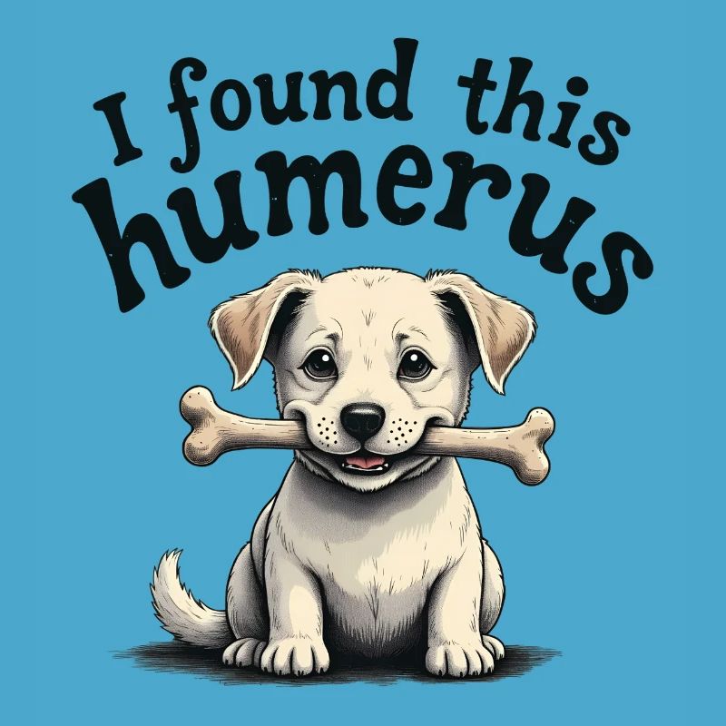 J’ai trouvé cet humérus