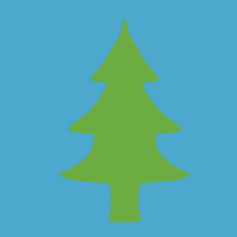Fir tree tree natural green