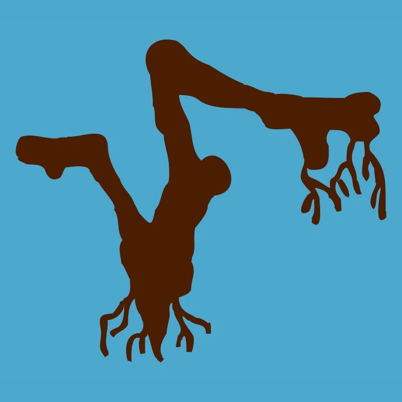 Root