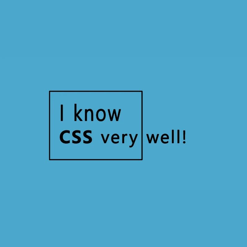 Web developer - CSS