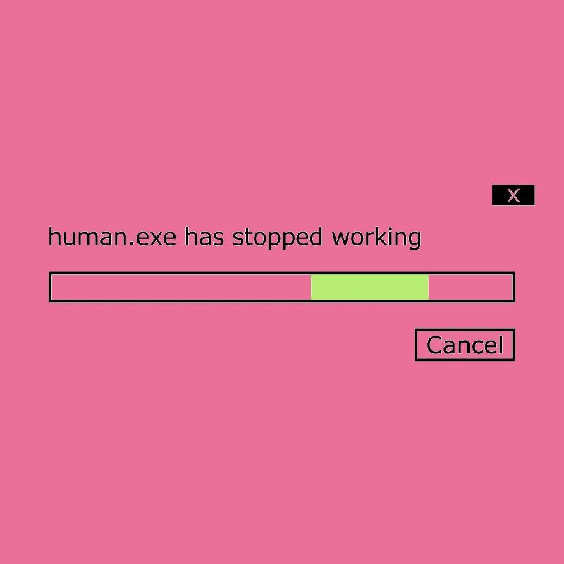 human.exe has stopped working Spruch human .exe