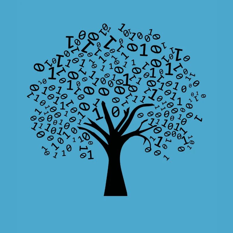 Programmer Binary Tree