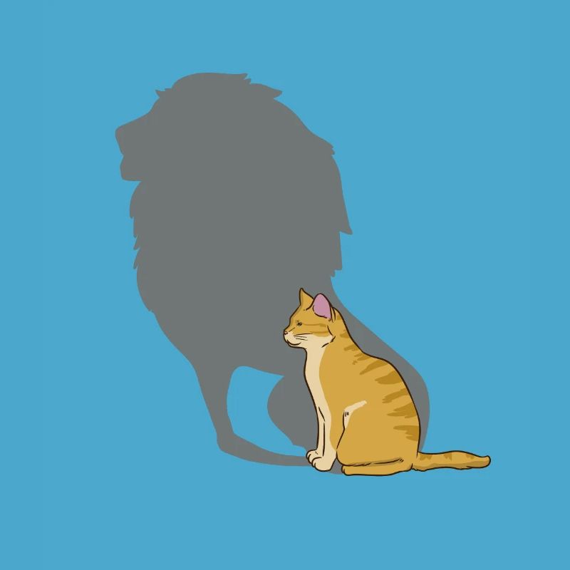 Cat shadow lion shadow play kitten