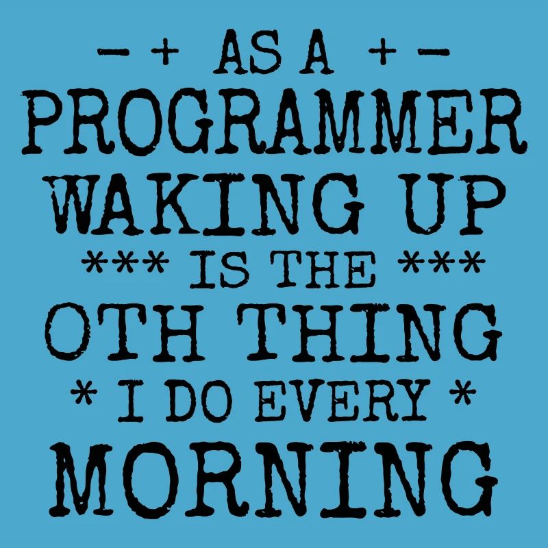 Software Ingenieur Informatiker Programmierer