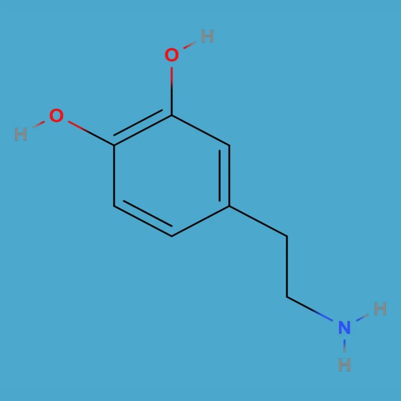 Dopamine Molecule - Colored Structural Formula