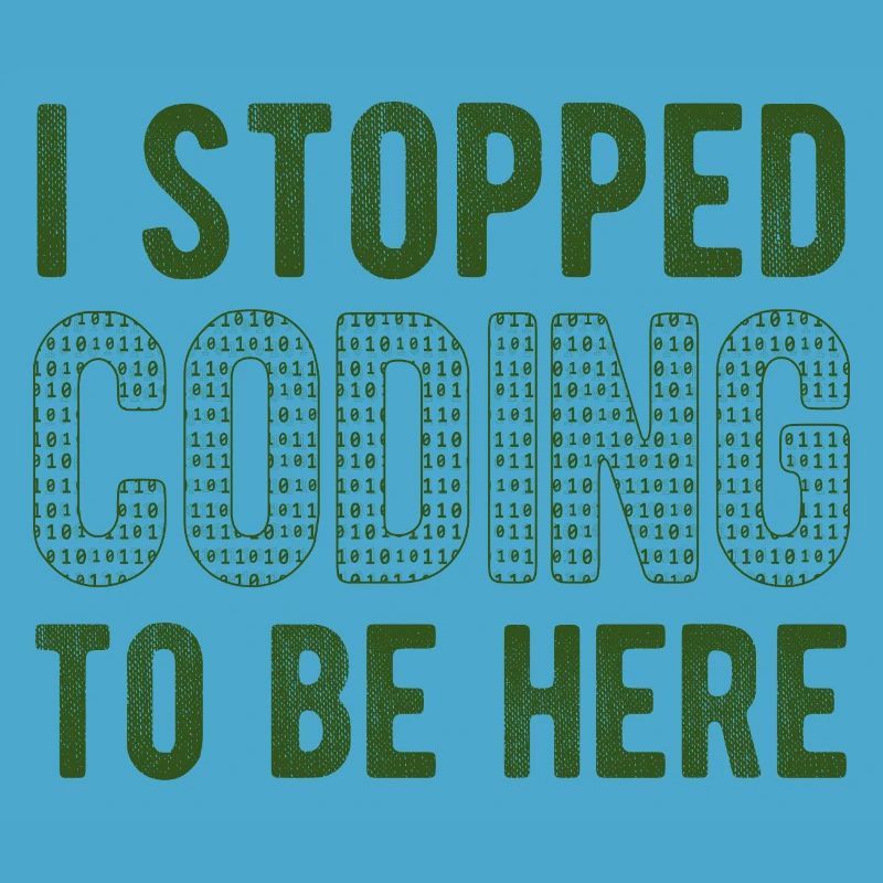 Software Ingenieur Informatiker Programmierer