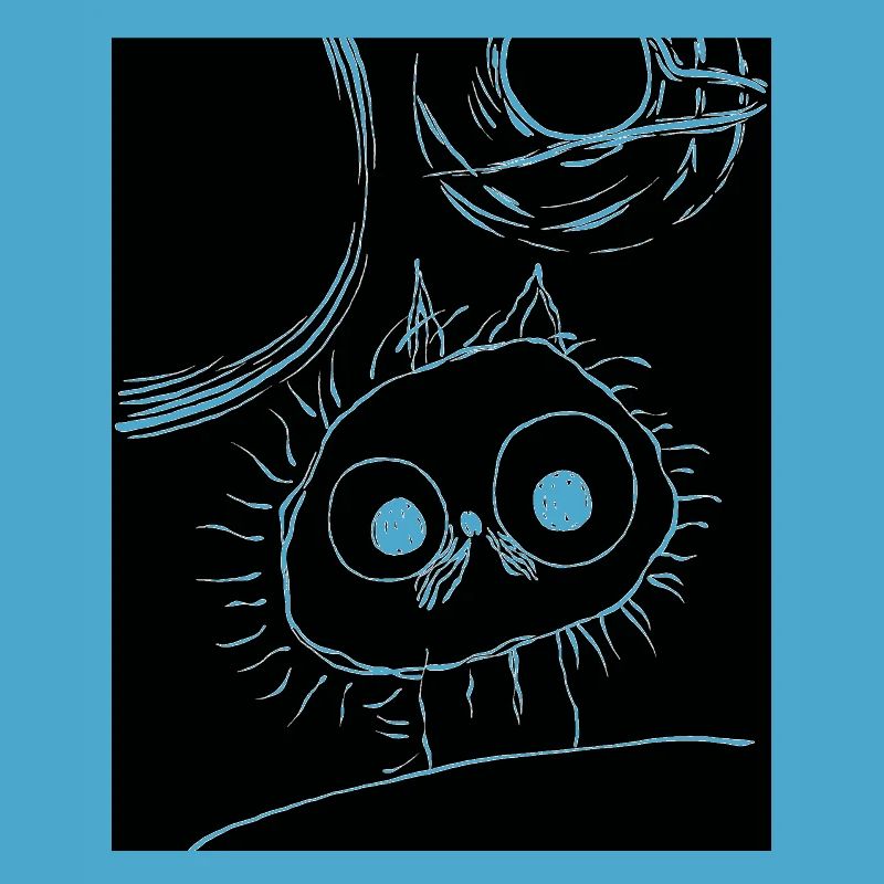 Chat dans l’espace