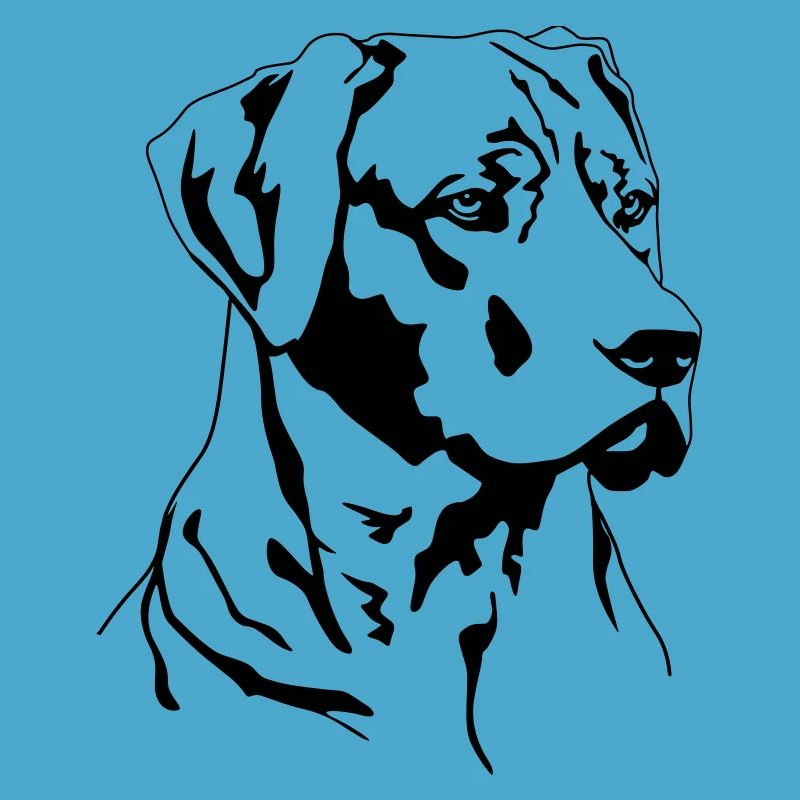 Rhodesian Ridgeback head