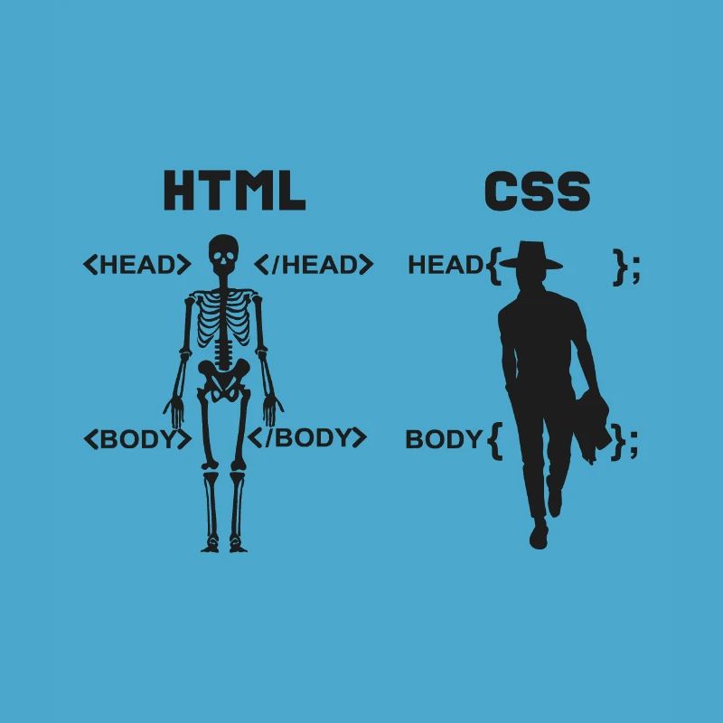 HTML vs CSS Programmiersprache