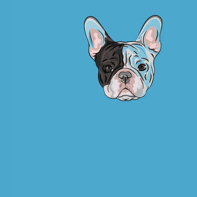 blanc bouledogue français