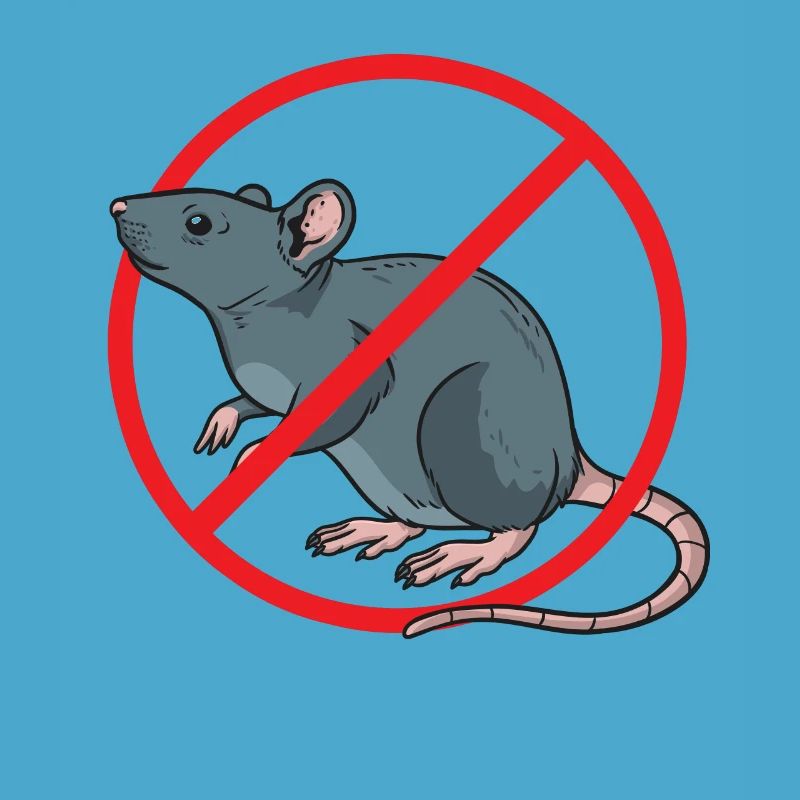 Schädlingsbekämpfung Kammerjäger