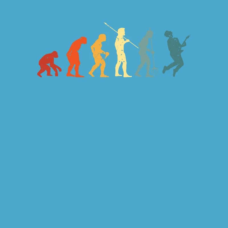 Guitar Evolution Guitar Lovers Guitariste