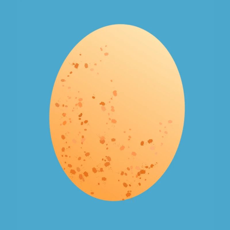 Egg chicken egg