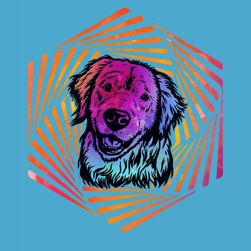 Labrador Rétro