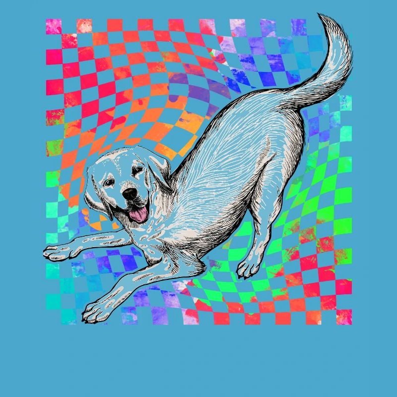 Labrador Rétro