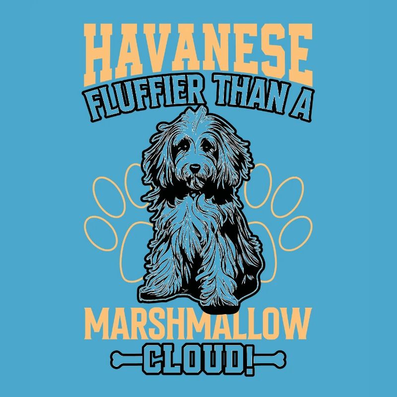 Havanese fluffier than a Marshmallow Cloud