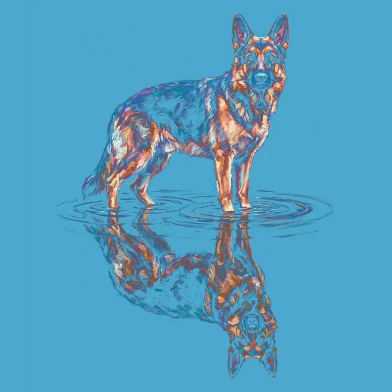 German Shepherd with Water Reflection