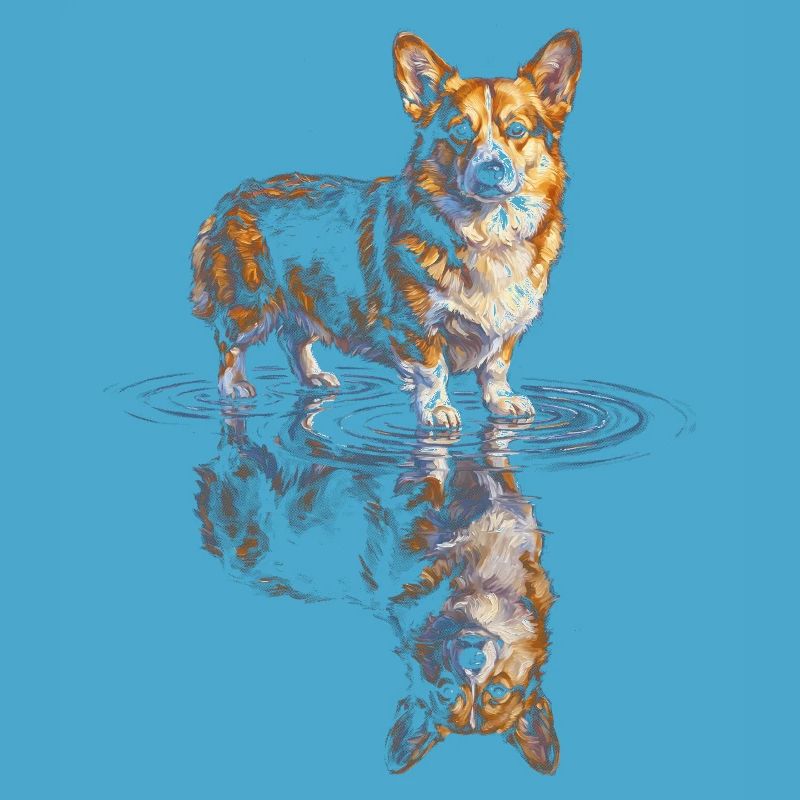 Wasserreflex Corgi
