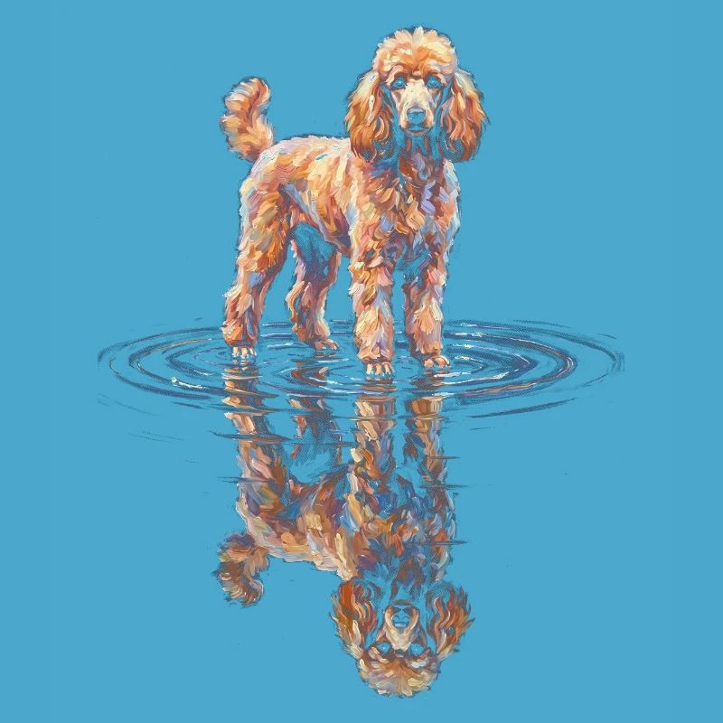 Poodle with water reflection