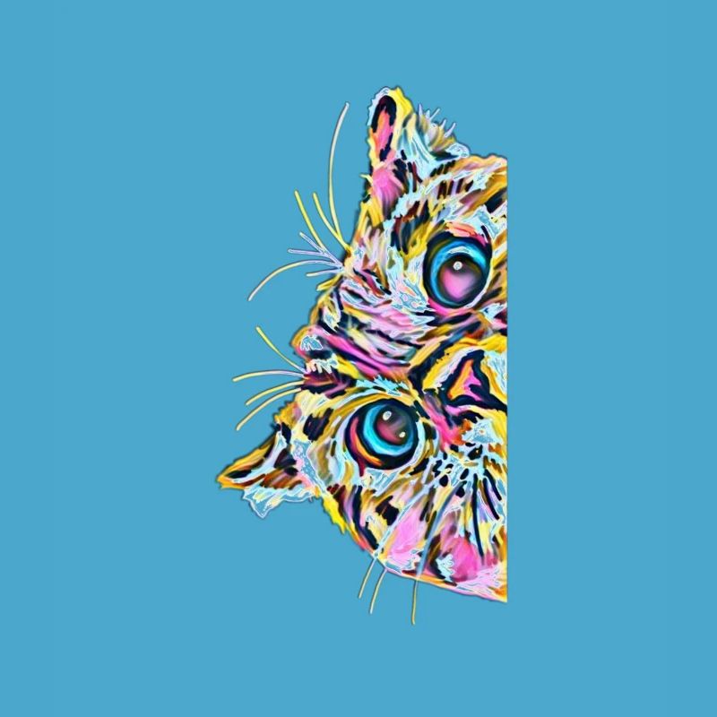 chat
