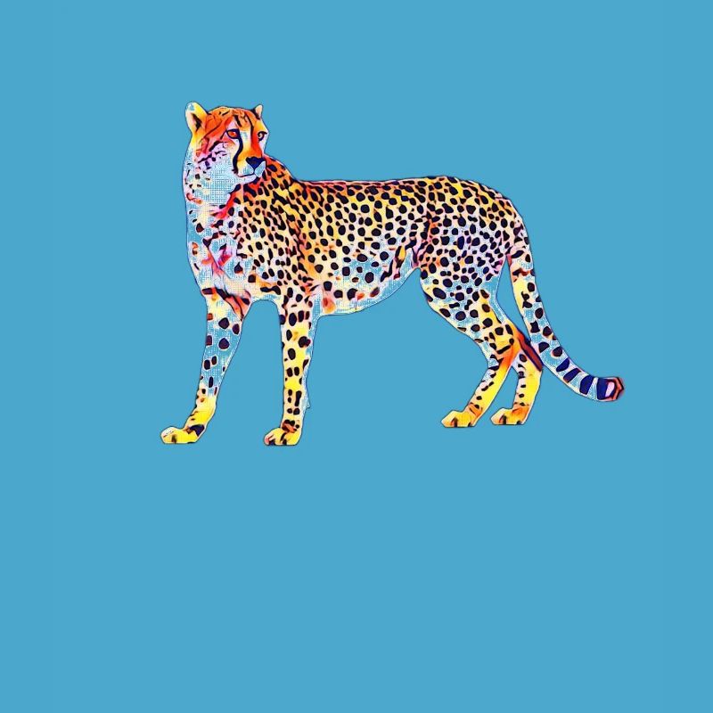 guépard