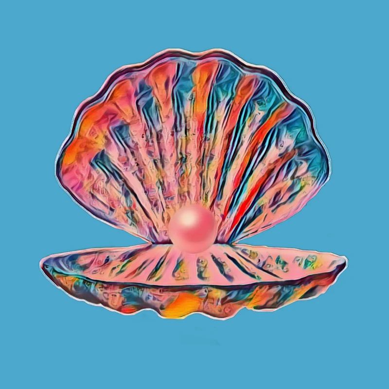 shell