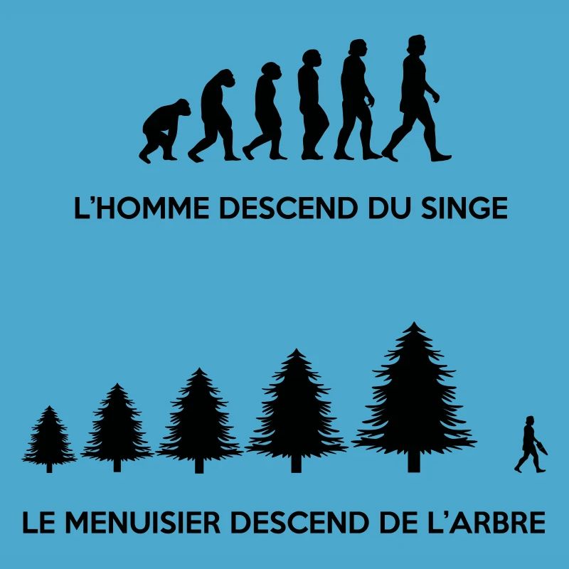Evolution du menuisier