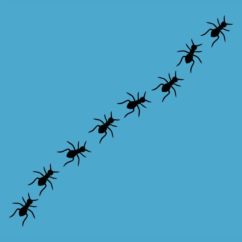 Ants