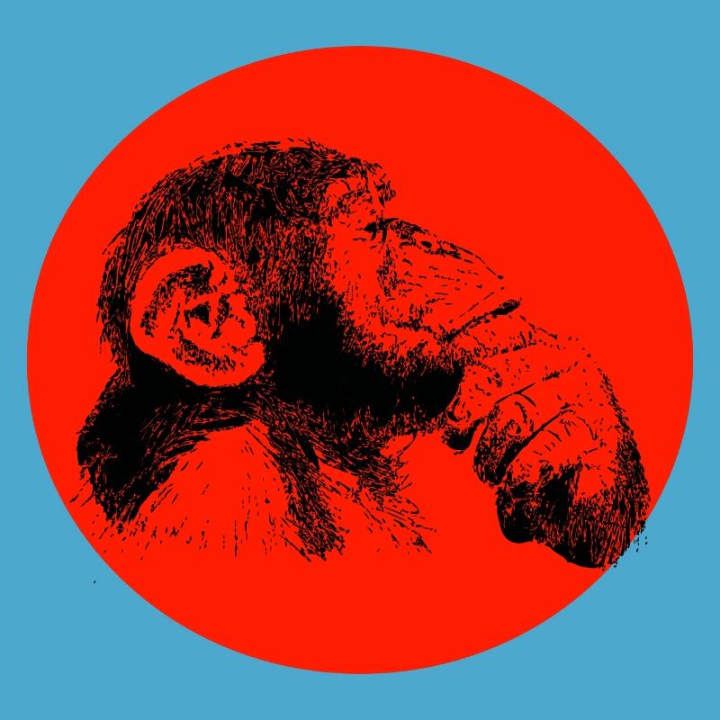 Think monkey chimpanzee