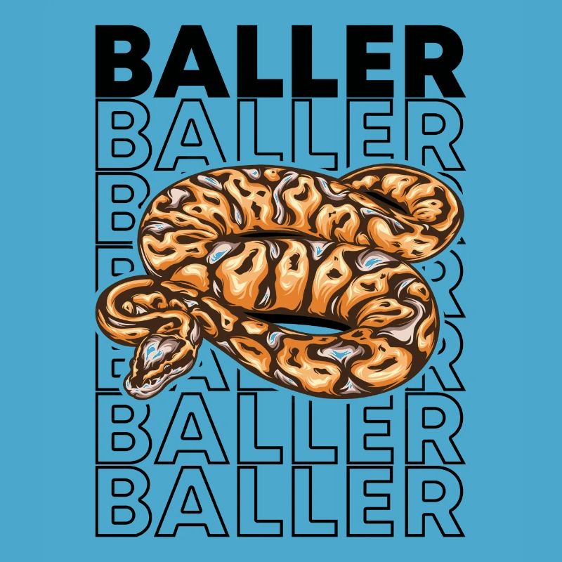 Ball Python 80's Style Baller Royal Python Snake