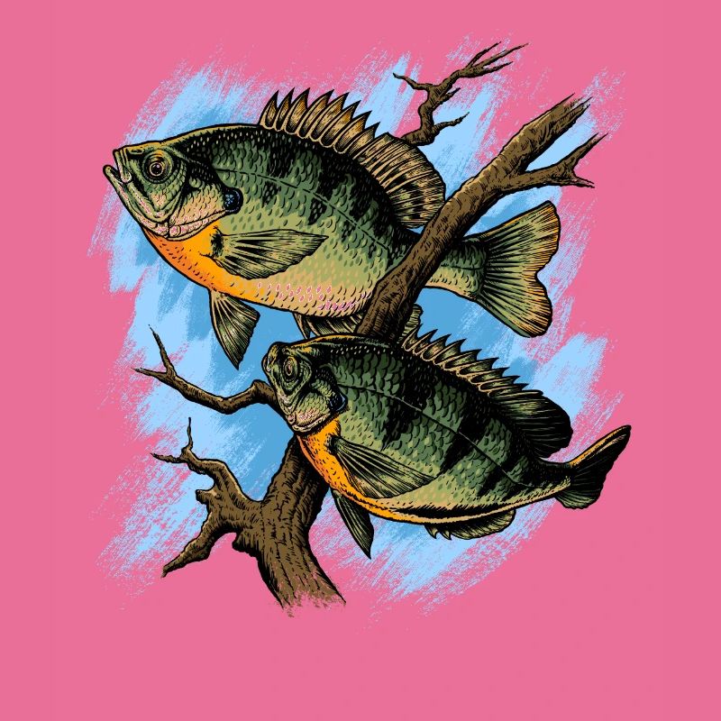 Crapet Arlequin Illustration Pêche Pullover conception