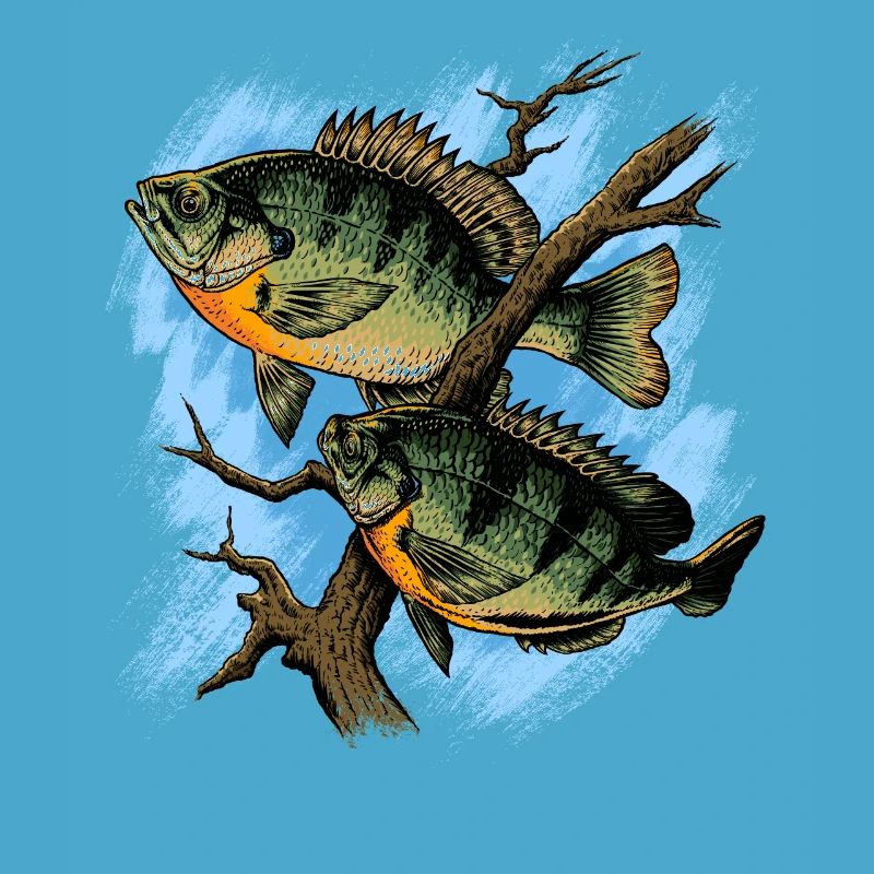Crapet Arlequin Illustration Pêche Pullover conception
