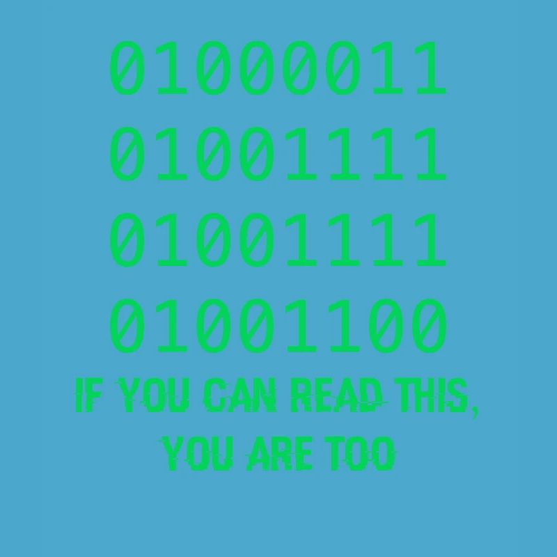 Computer Binary Code Developers Gift