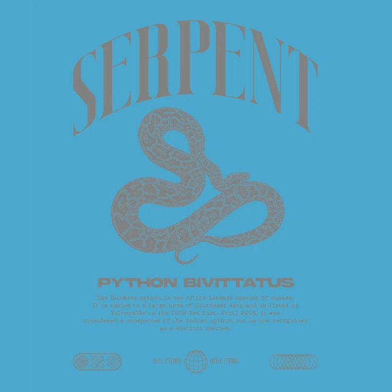 Burmese Python Modern Reptile Keeper Streetwear