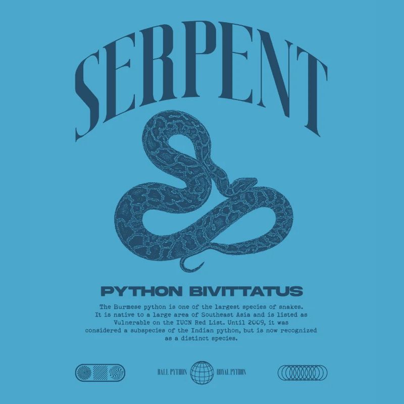 Burmese Python Modern Reptile Keeper Streetwear