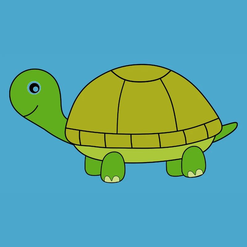 Turtle