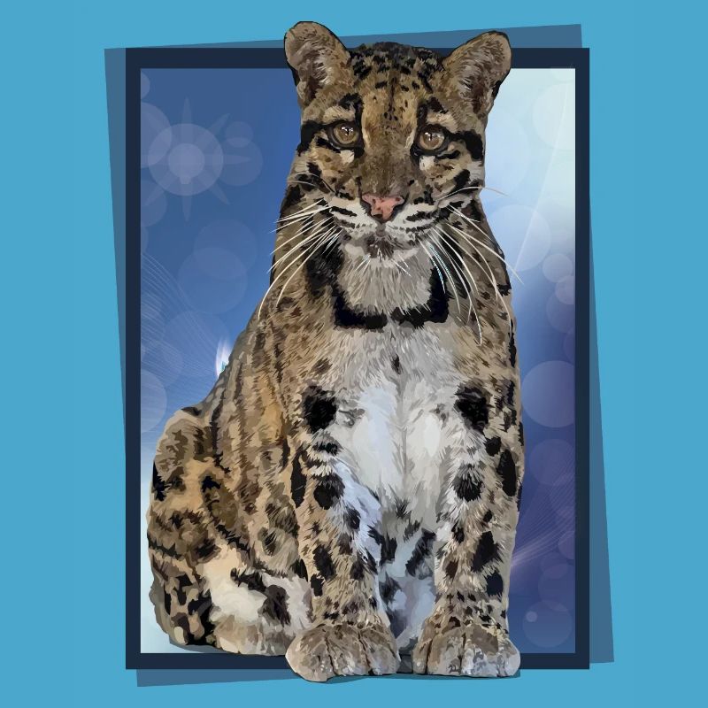 Clouded leopard