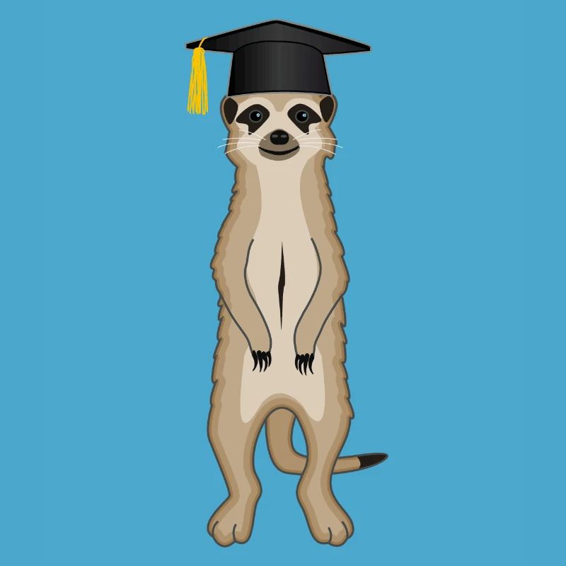 Bachelor Master Studium Abschluss Erdmännchen