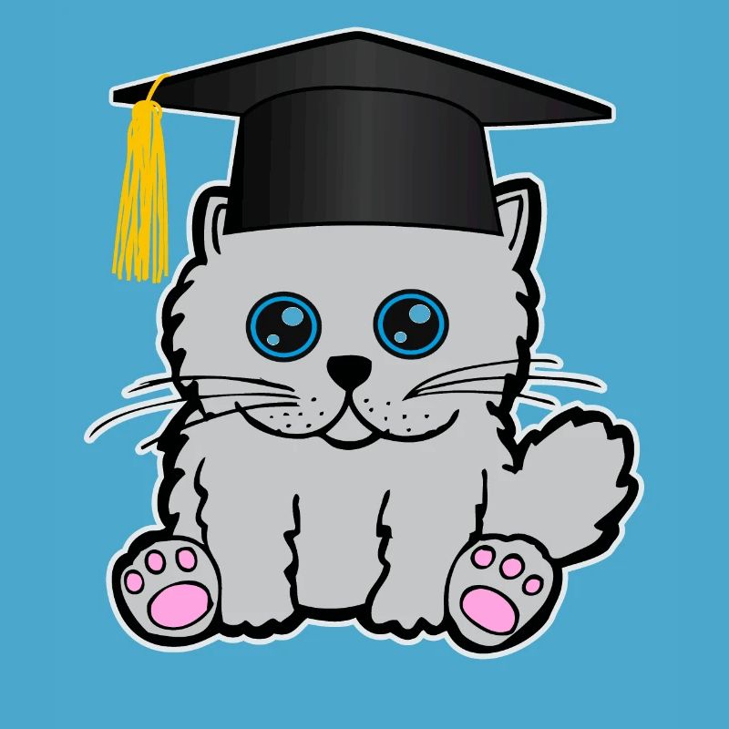 Licence Master en Chat Chat