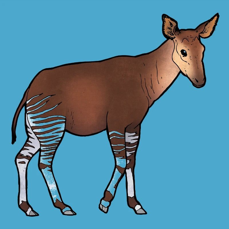 Okapi 02