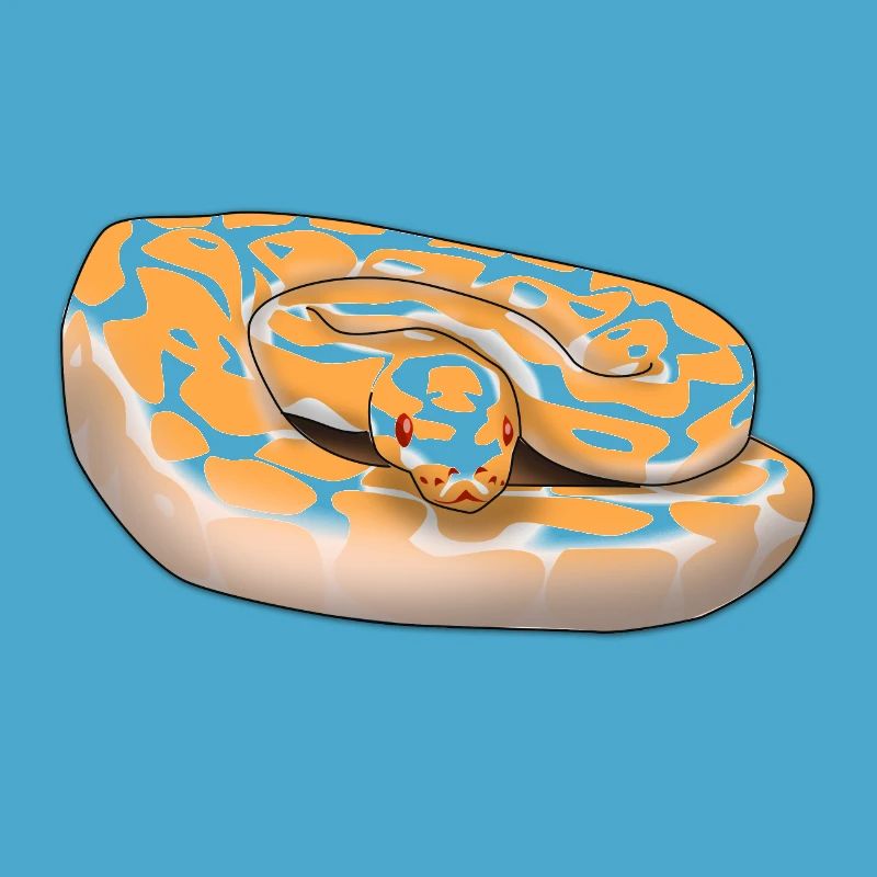 Lavender Albino Königspython (Python regius) Schla