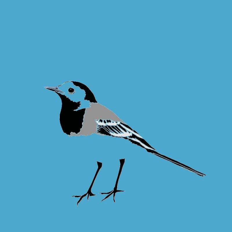 Wagtail