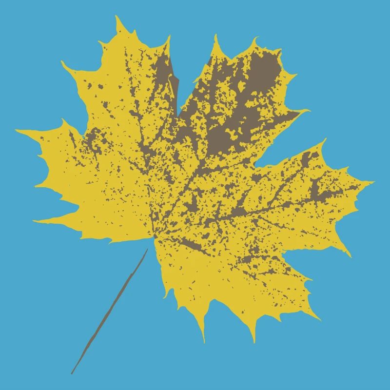 Yellow maple leaf