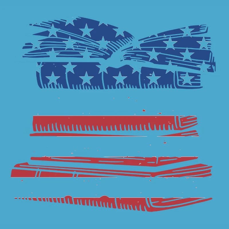 Reader Us Flag Reading