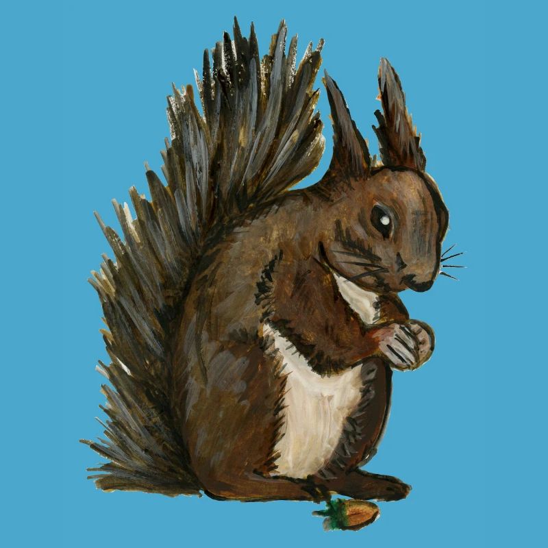 Eichhörnchen Eichhörnchen eichhörnchen esquilo Haselnuss