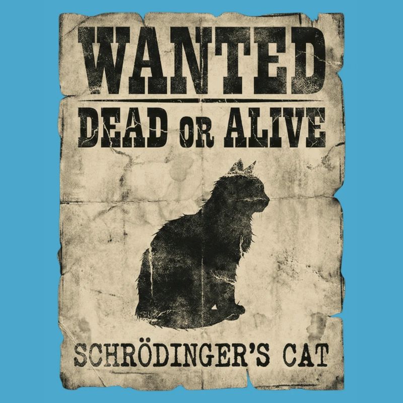 Schrödingers Katze gesucht Tot-oder-lebendig Physik-Wortspiel