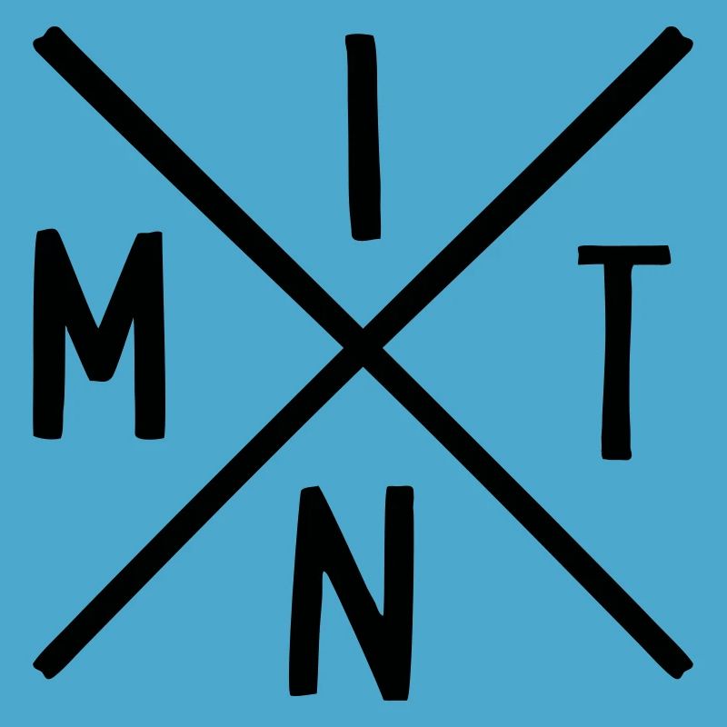 MINT Fächer